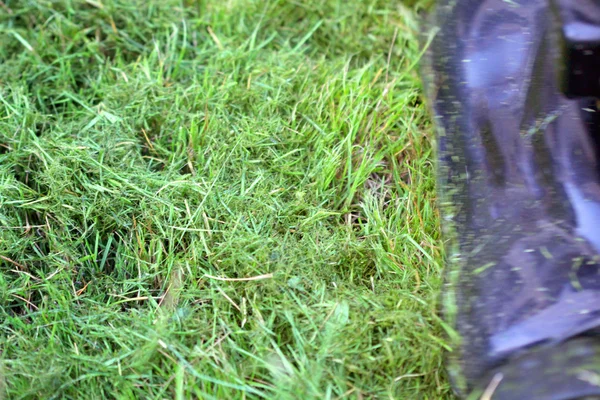 Corta-relva está sendo usado pelo jardineiro para cortar grama — Fotografia de Stock