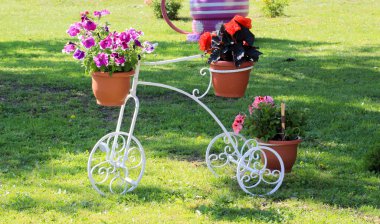 güzel bir Bahçe saksıları