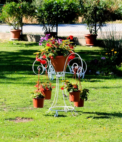 Цветочные горшки в красивом саду — стоковое фото