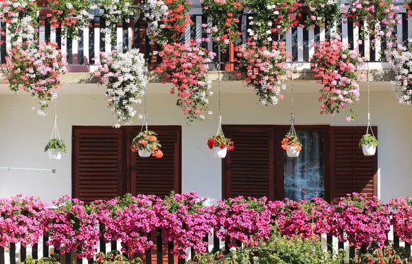 Macetas en un hermoso jardín — Foto de Stock