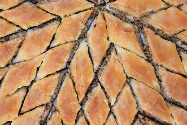 Frisch gebackene Baklava — Stockfoto