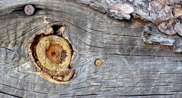 Antiguo fondo de madera de pino —  Fotos de Stock