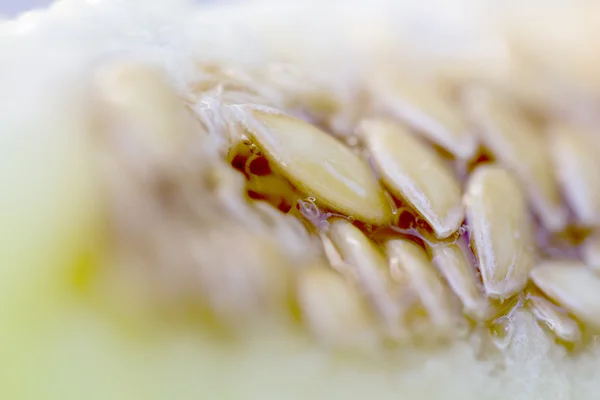 Sementes de melão fresco, macro shot — Fotografia de Stock