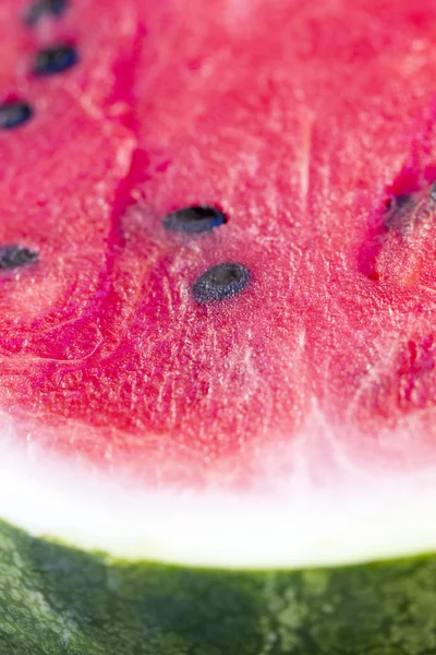 Fresh watermelon in a summer — Stock Photo, Image