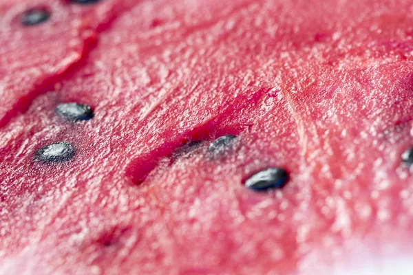 Fresh watermelon in a summer — Stock Photo, Image