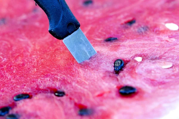 Fresh watermelon in a summer — Stock Photo, Image