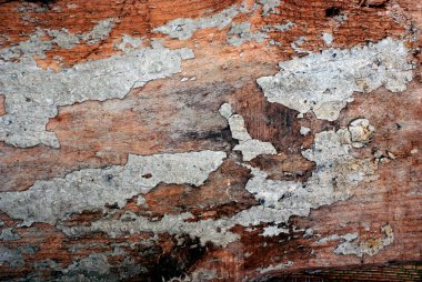 Görünür ahşap doku ile maruz kalan beton