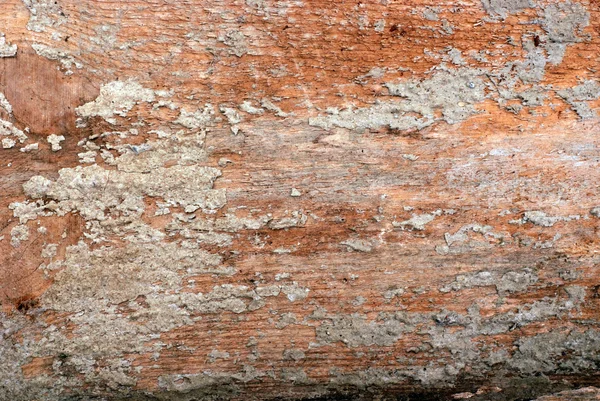 Экспозиция бетона с видимой текстурой дерева — стоковое фото