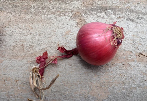 赤 onionson 素朴なセメント材 — ストック写真