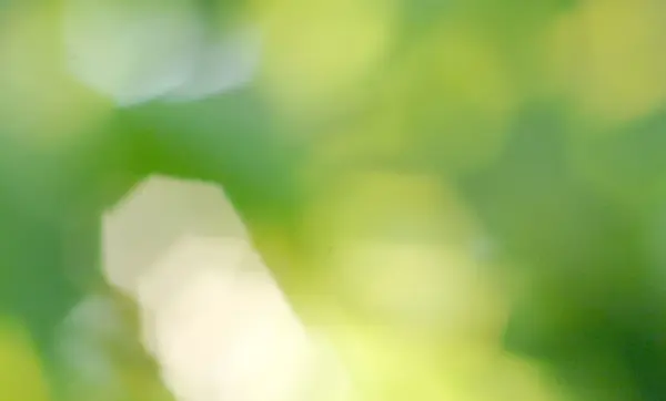 Defocus natura verde bokeh, Defocus sfondo natura astratta con foglie verdi e luci bokeh . — Foto Stock