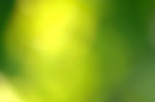 Defocus natura verde bokeh, Defocus sfondo natura astratta con foglie verdi e luci bokeh . — Foto Stock