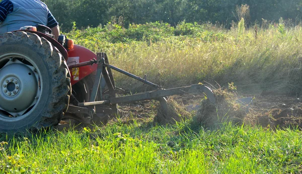 Traktor på jordbruksområdet — Stockfoto