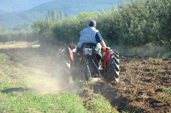 Traktor på jordbruksområdet — Stockfoto