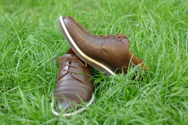 Sapatos masculinos em um fundo de grama — Fotografia de Stock