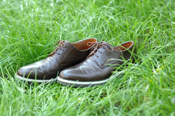 Male shoes on a grass background — Stock Photo, Image