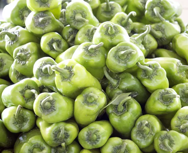 Poivrons verts à vendre sur un marché — Photo