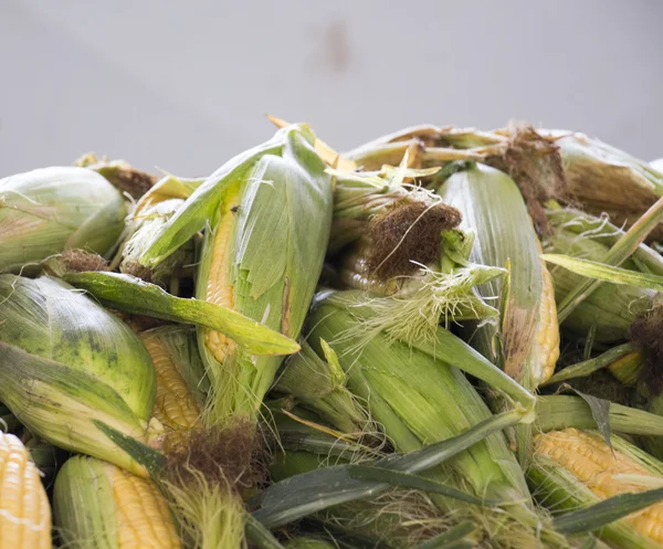Le maïs dans un marché fermier — Photo