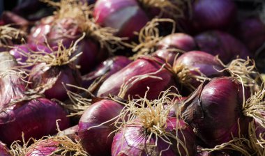 Çok bir pazarda organik kırmızı soğan