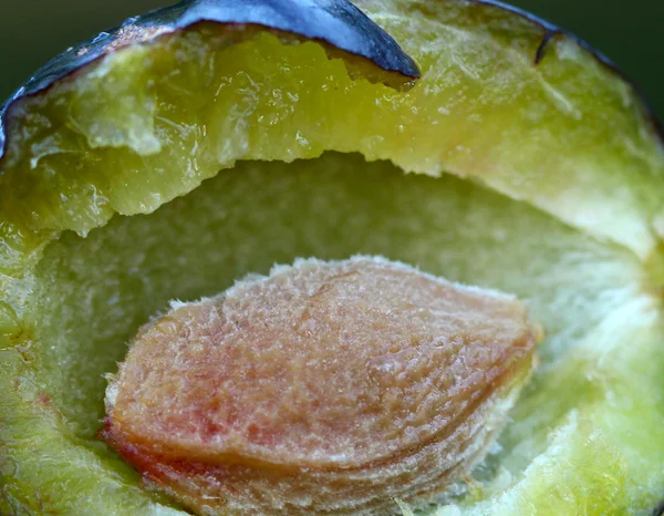 Plums, macro of a ripe fruit — Stock Photo, Image