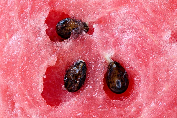 Seeds of a fresh watermelon . — Stock Photo, Image