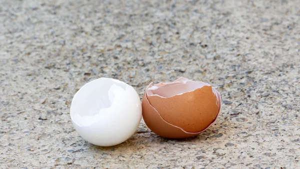 Zásobník vajíček, většina z nich zlomené. — Stock fotografie