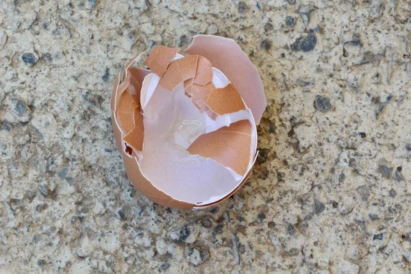Zásobník vajíček, většina z nich zlomené. — Stock fotografie