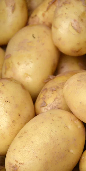 Φρέσκα βιολογικά baby πατάτες fo πώληση στην αγορά του αγρότη — Φωτογραφία Αρχείου