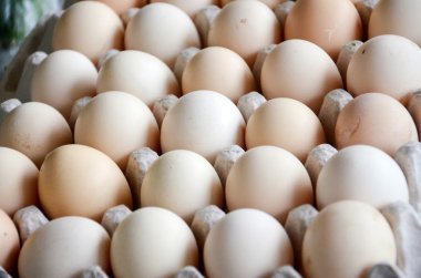 Pazarda taze yumurta..