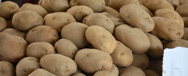 Φρέσκα βιολογικά baby πατάτες fo πώληση στην αγορά του αγρότη — Φωτογραφία Αρχείου