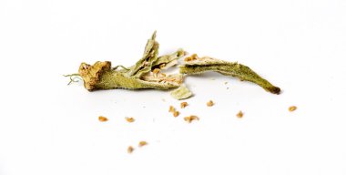 beyaz kağıt üzerinde izole kuru bamya.