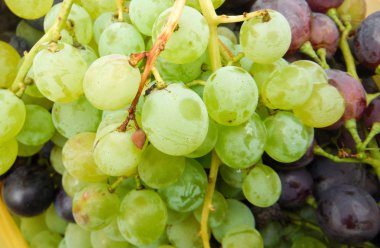 Waterdrops ile olgun üzüm.