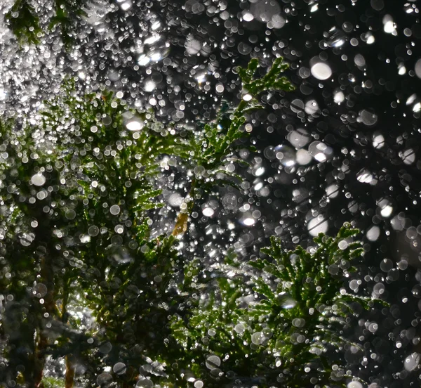 Hujan air tetes melayang di udara — Stok Foto