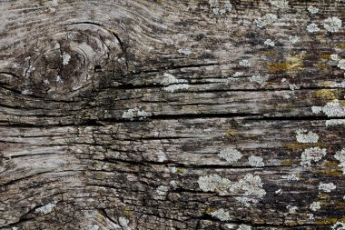 Eski ahşap doku kahverengi vintage ahşap doku arka plan