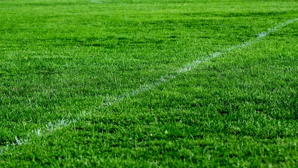 Línea blanca del campo de fútbol. tema del deporte —  Fotos de Stock