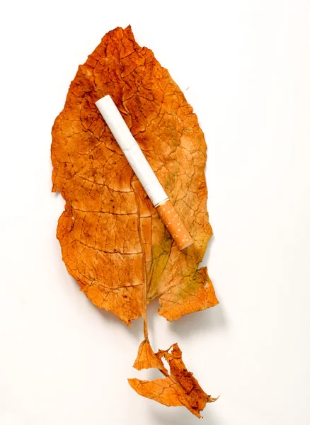 Problemas de tabaquismo, adicción al tabaco y la nicotina, tema de salud — Foto de Stock