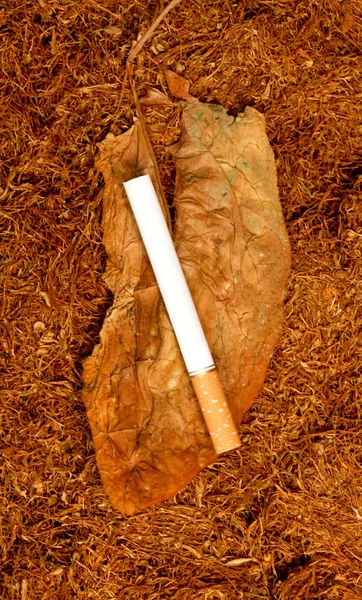 Problemas de tabaquismo, adicción al tabaco y la nicotina, tema de salud — Foto de Stock