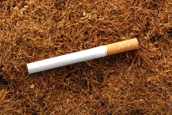 Problémy s kouření, závislost na tabáku a nikotinu, téma zdraví — Stock fotografie
