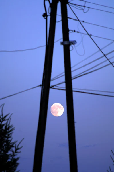Moon between the columns of an wood pylon — Stock Photo, Image