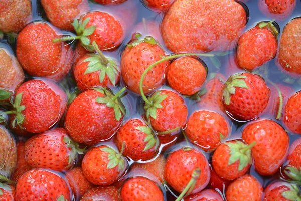 Fresas Orgánicas Frescas Cosechadas Que Caen Agua — Foto de Stock
