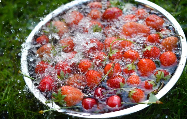 Fresas Orgánicas Frescas Cosechadas Que Caen Agua —  Fotos de Stock