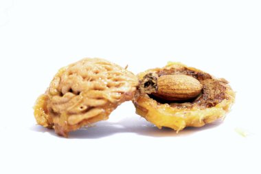 şeftali çekirdeği beyaz arka planda izole edilmiş