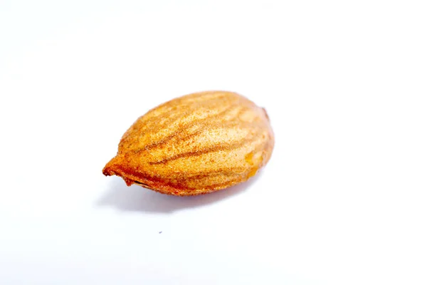 Peach Fruit Seed Isolated White Background — Stock Photo, Image