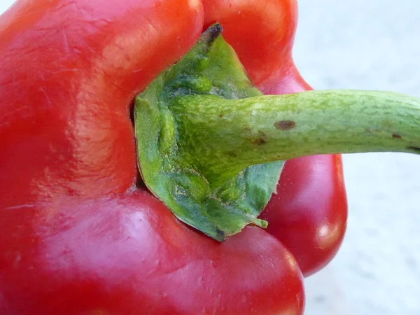 Süßpaprika — Stockfoto