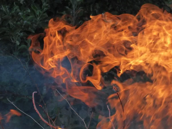 Fuego, Llama — Foto de Stock