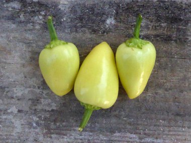 Ahşap arka planda soğuk biber