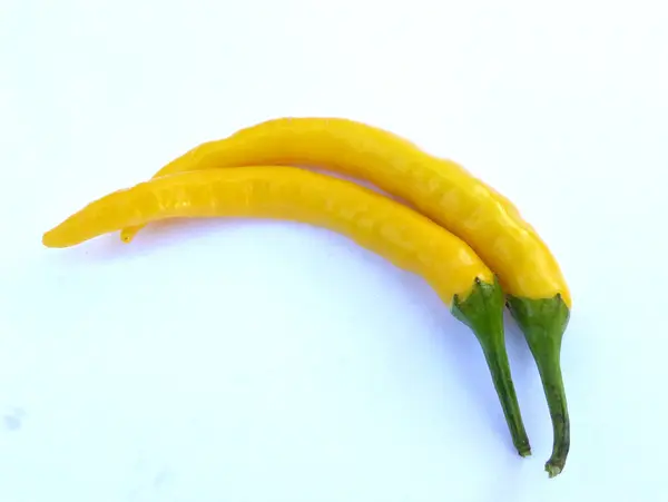 Chilly pepper — Stock fotografie