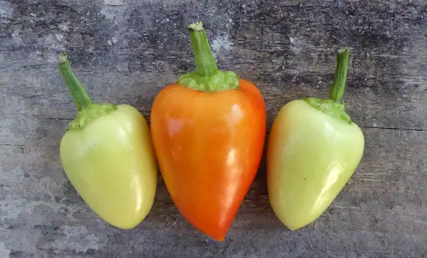 Pimenta fresca no fundo de madeira — Fotografia de Stock