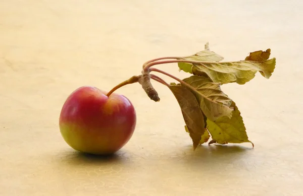 Apple, organic — Stock Photo, Image