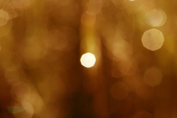 Brown Sepia Bokeh — Stok Foto