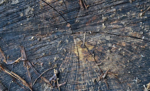 Old Wood Background — Stock Photo, Image